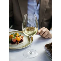 Verres À Vin Rosé|Verres À Vin Blanc>Chefu0026Sommelier Verre à pied 47 cl Villeneuve